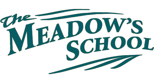 The Meadow's School